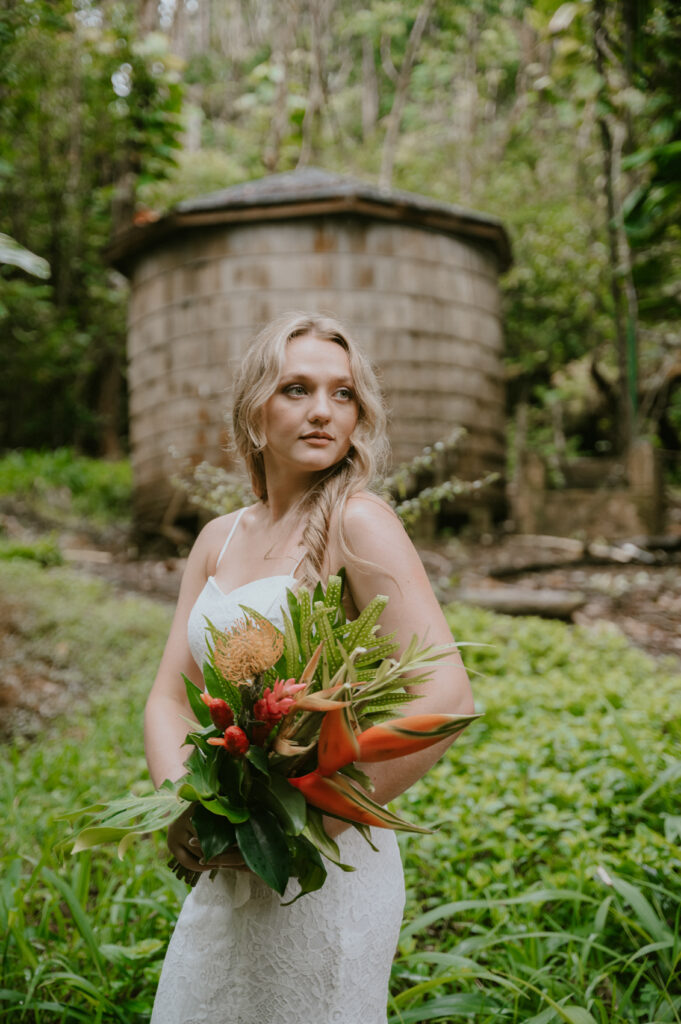 koolau forest reserve maui hawaii destination elopement wedding