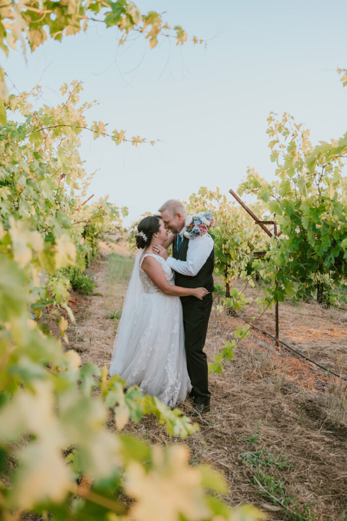 aloria vineyards wedding murphys california- calaveras wedding and elopement photographer