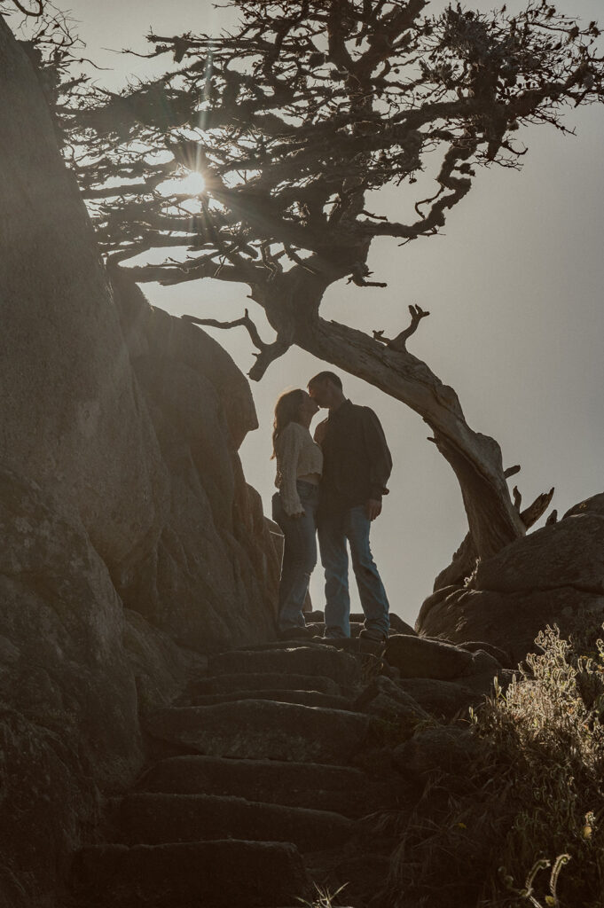 Big Sur Proposal-79